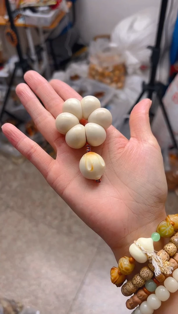 吊坠菩提根/象牙果小卡白色山竹 馒头兔