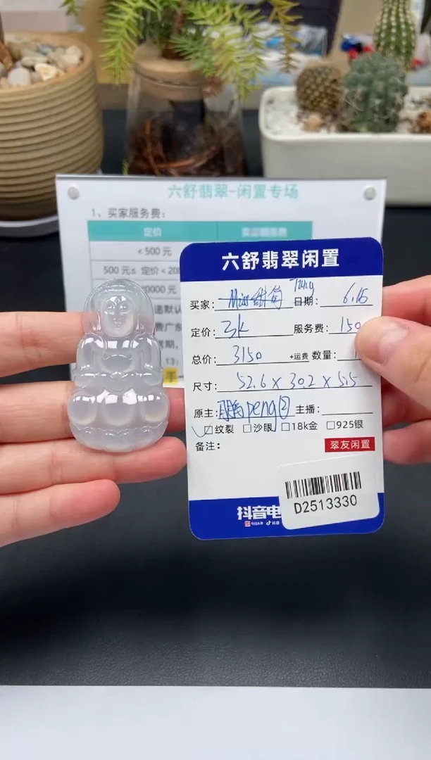 翡翠未镶嵌颈饰T***^D2513330