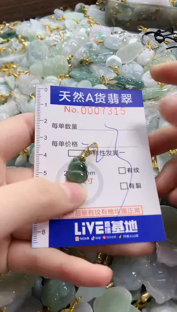 颈饰未镶嵌翡翠天然A货翡翠