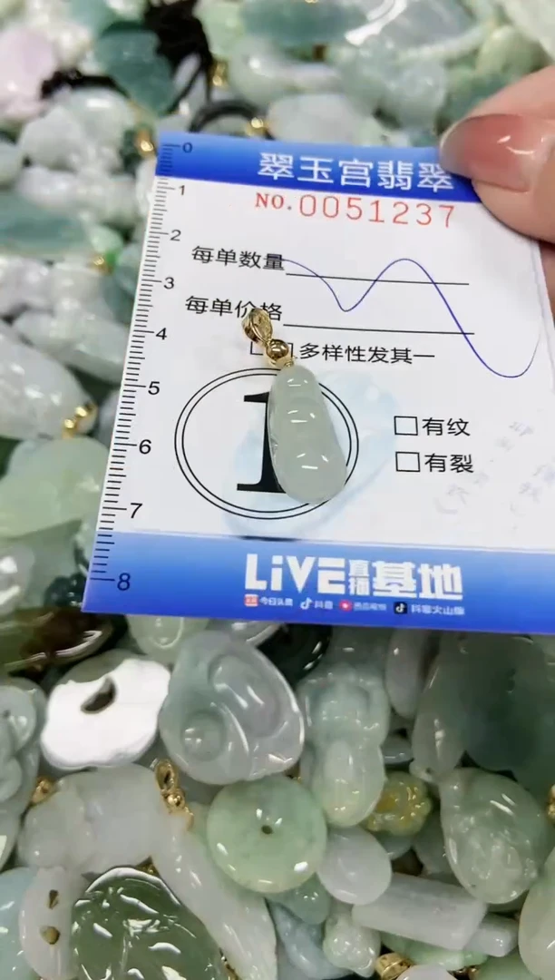 【闪购商品】翡翠颈饰未镶嵌闪购0051237