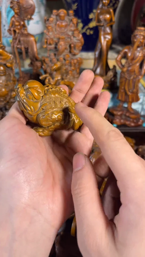 黄杨木11111111111111