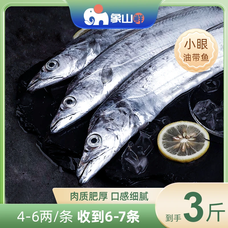 象山鲜东海小眼油带鱼4-6两/条液氮锁鲜优选东海带鱼海鲜