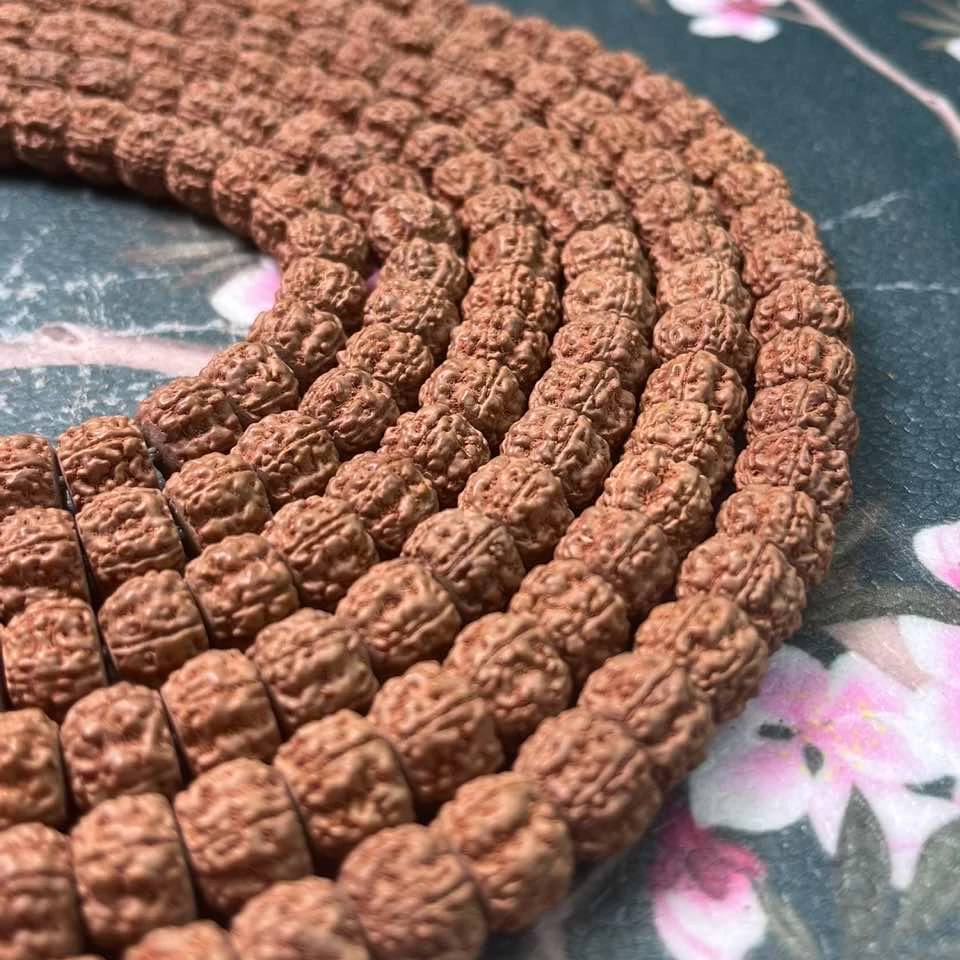 680原皮纯血麦穗盘龙8-12mm