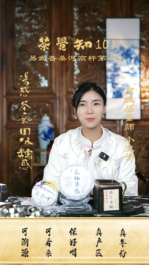 那罕单株头春古树＋忙肺单株头春古树＋千年高杆黄金叶