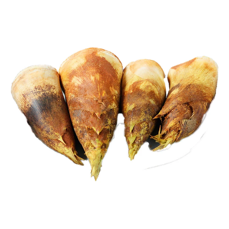 春笋 800g±50g/份