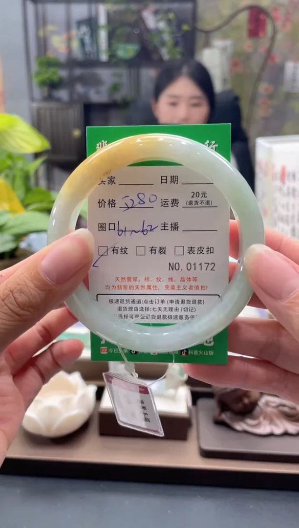 未镶嵌手镯翡翠1172****
