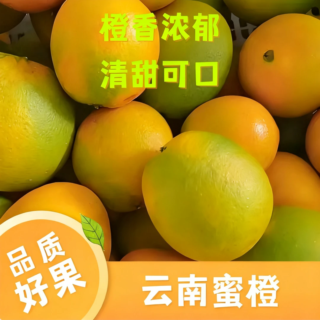 【云满堂精选】云南高原新鲜蜜橙应季新鲜现采现摘产地直发香甜多汁