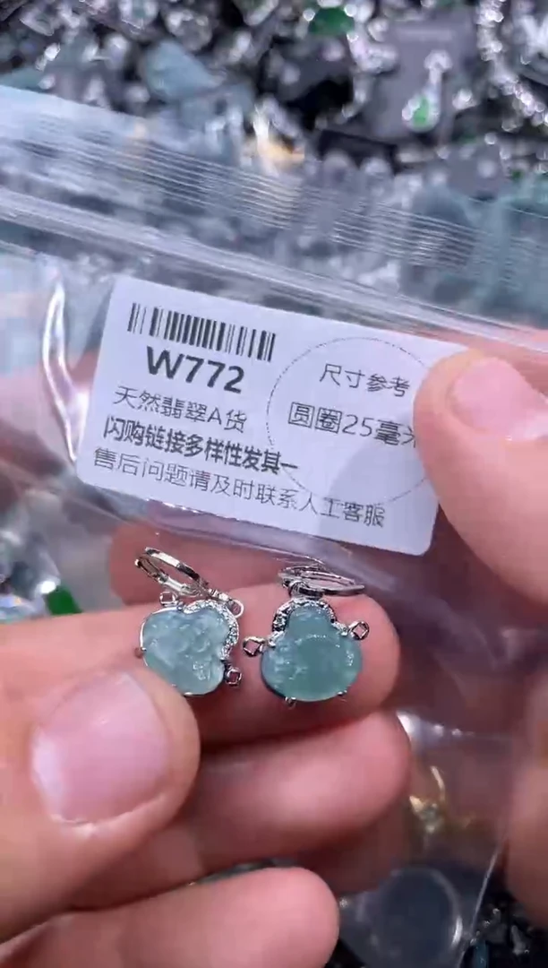 【闪购商品】翡翠颈饰未镶嵌W772耳扣