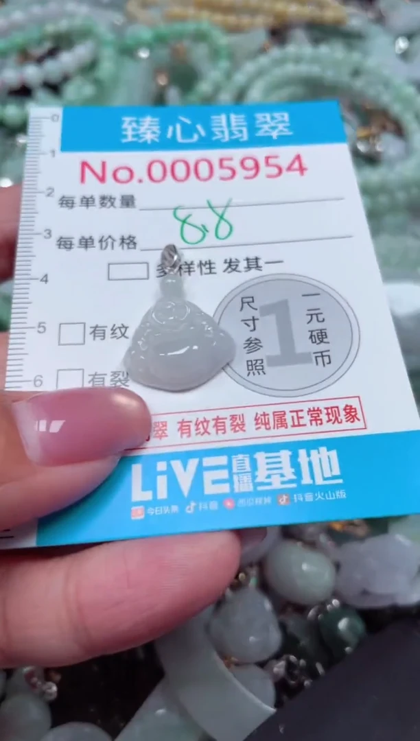 颈饰未镶嵌翡翠5954