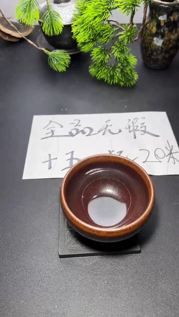 茶盏101叶紫建盏