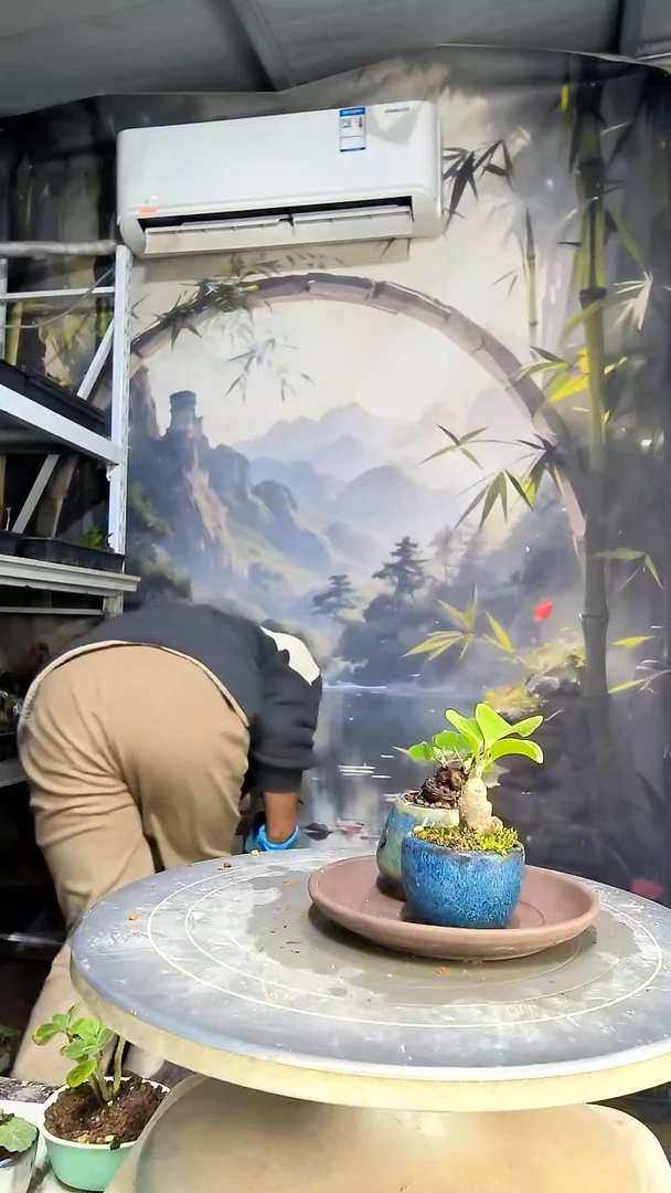 我****呢中青园艺一物一拍花177