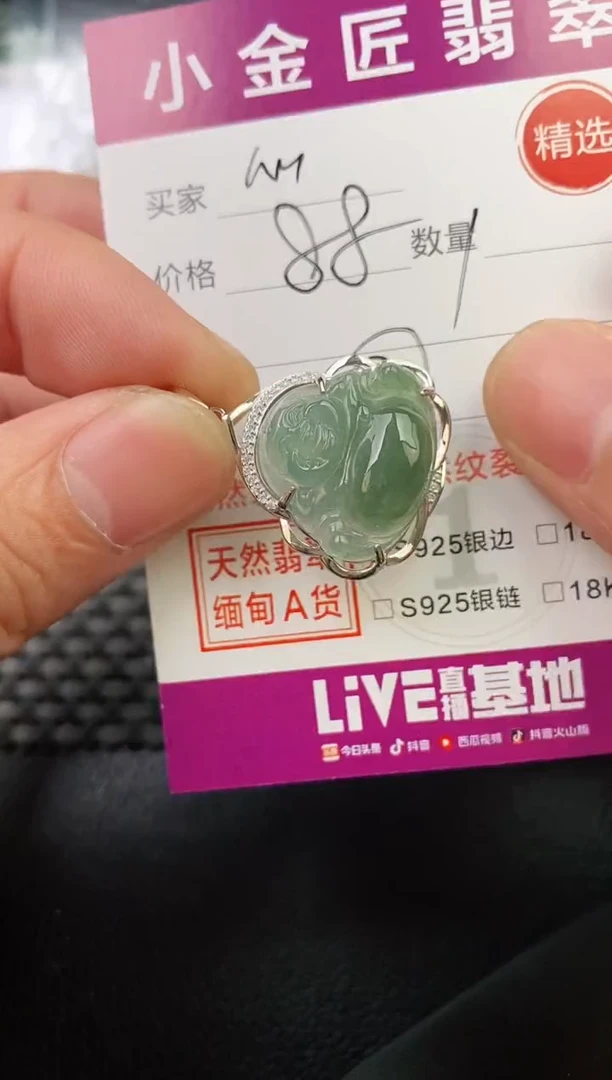 翡翠银S925镶嵌颈饰心**动·