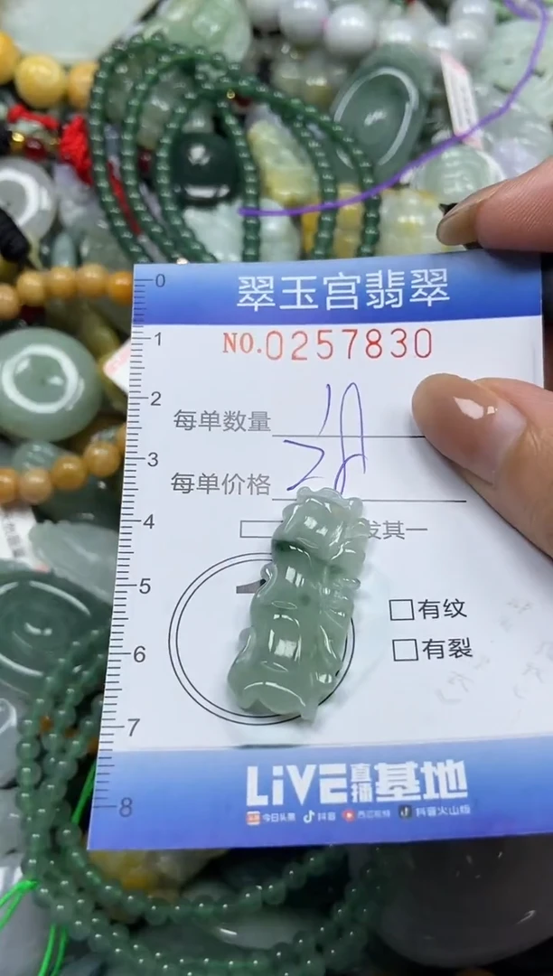 颈饰未镶嵌翡翠闪购C0257830