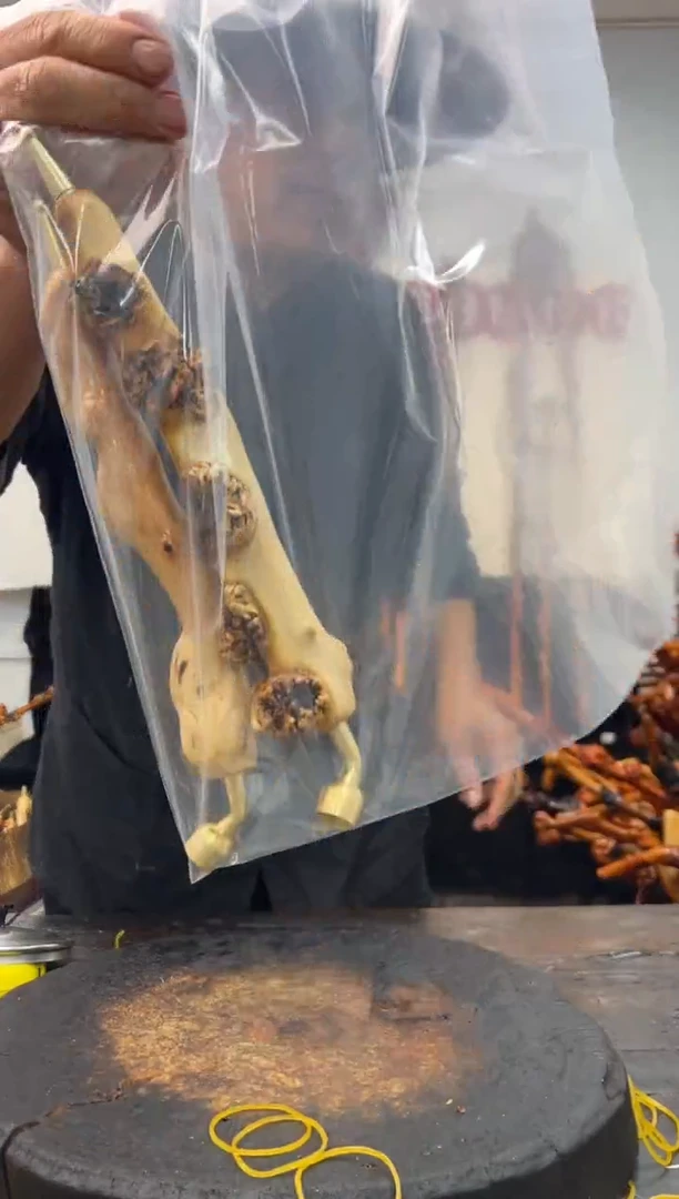 黑果木其他黑果木640