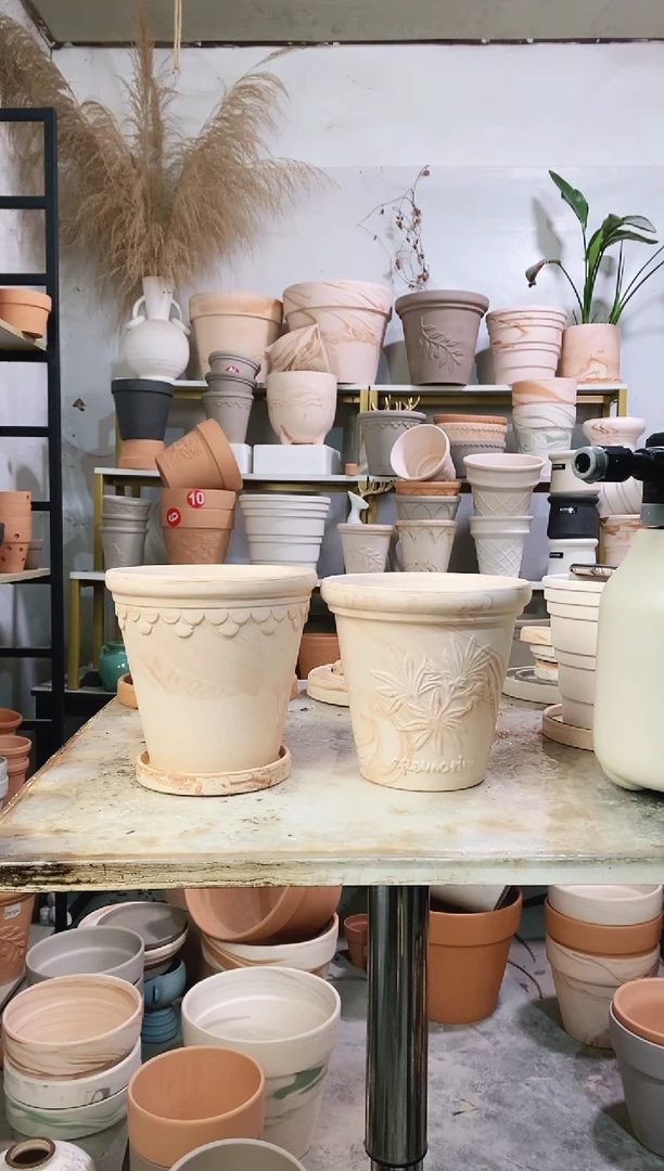 16*15玛奇朵巴洛克+香草组合 2盆2托