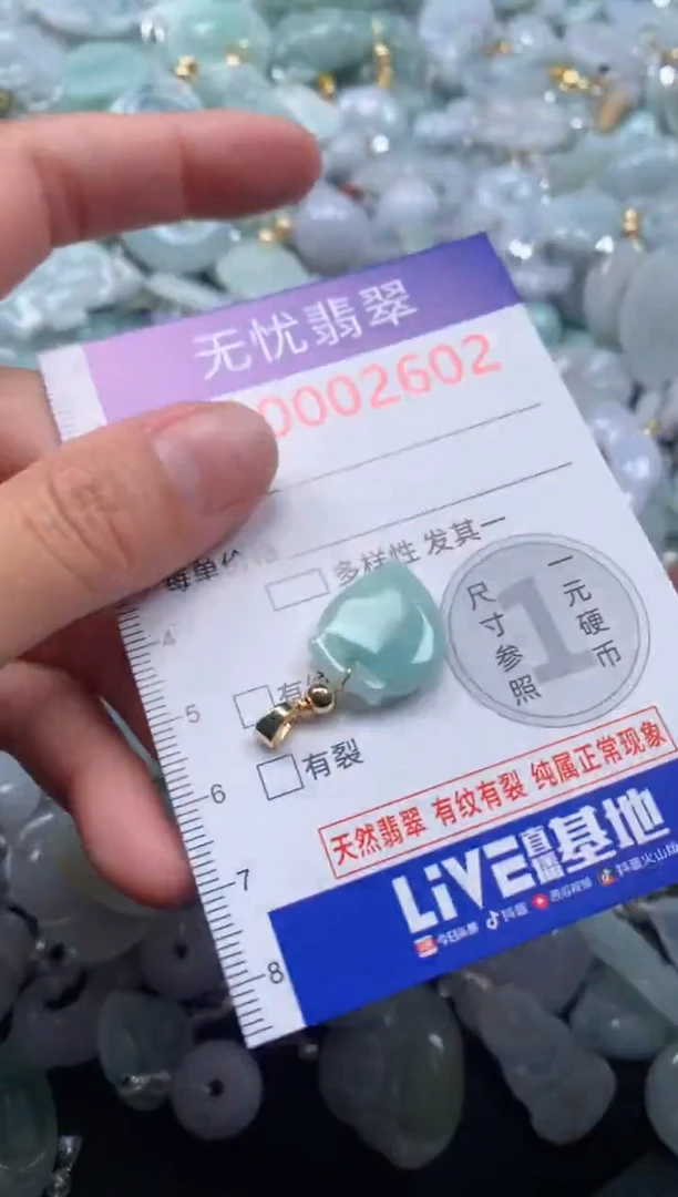 颈饰未镶嵌翡翠2602