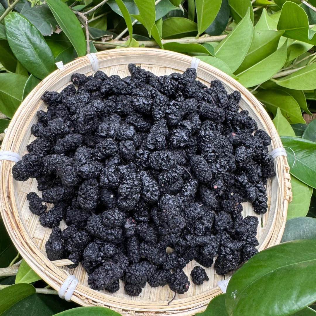 【桑葚干】精选 头茬 新货黑桑葚干  泡茶泡水