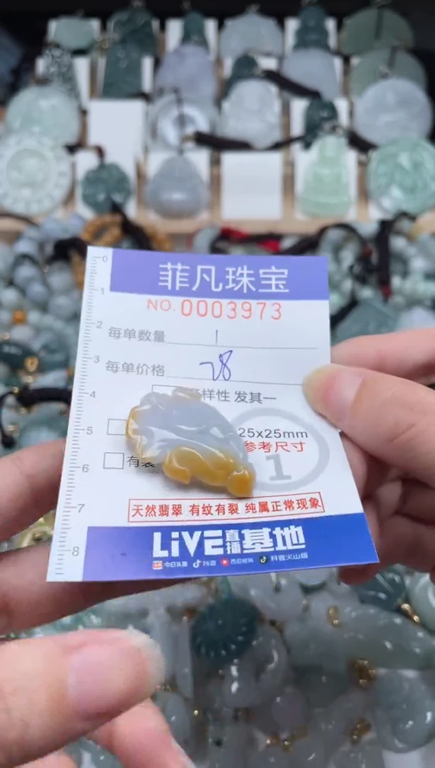 翡翠未镶嵌颈饰00..3973