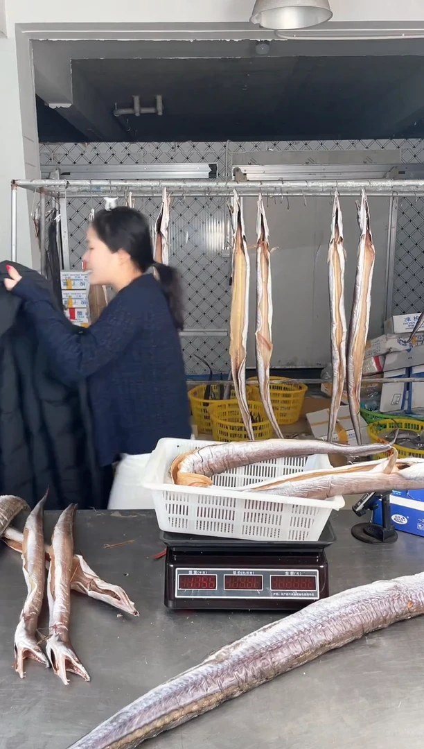 中国大陆两条6两到8两风鳗