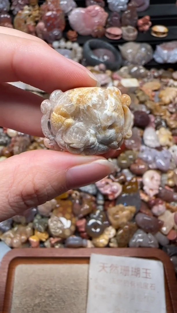 颈饰未镶嵌硅化珊瑚（珊瑚玉）263