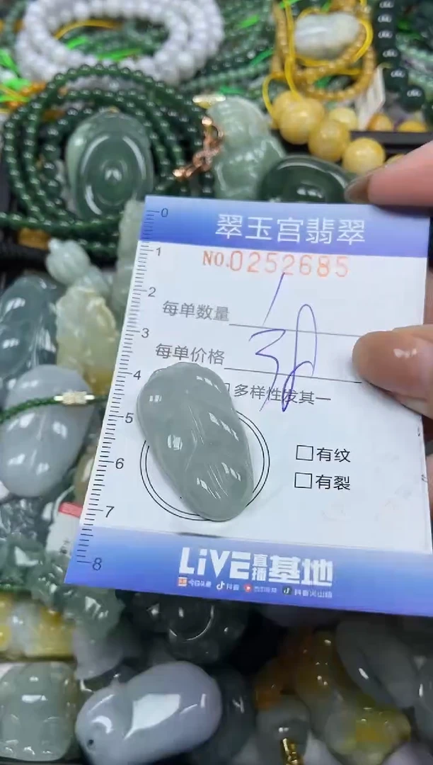 颈饰未镶嵌翡翠闪购C0252685