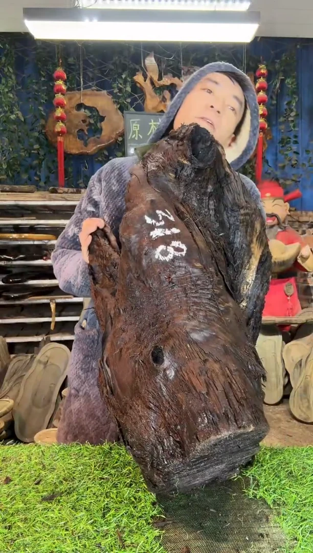 金丝楠小叶祯楠100