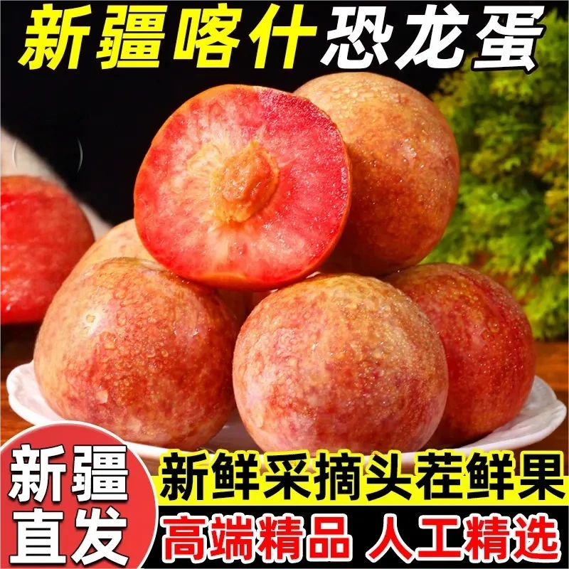 【顺丰包邮】新疆喀什恐龙蛋味帝李风味皇后杏李新鲜多仓发货