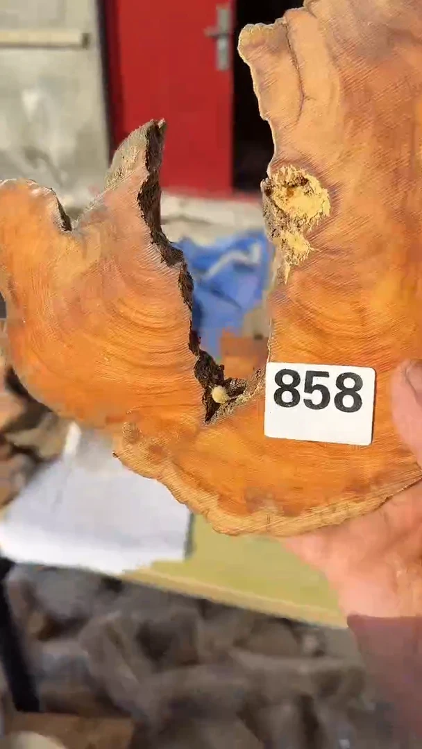 柏木（崖柏）太行陈化崖柏香片！随机一片！（1单1片）858