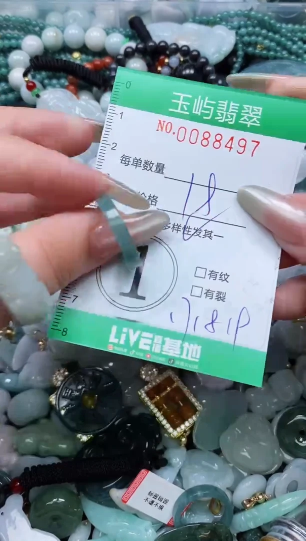 【闪购商品】翡翠颈饰未镶嵌闪购0088497