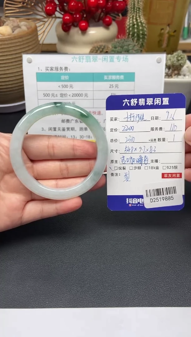未镶嵌手镯翡翠小**姨D2519885