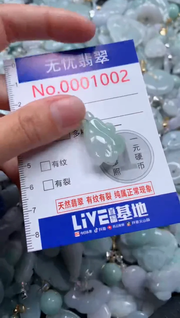 颈饰未镶嵌翡翠1002