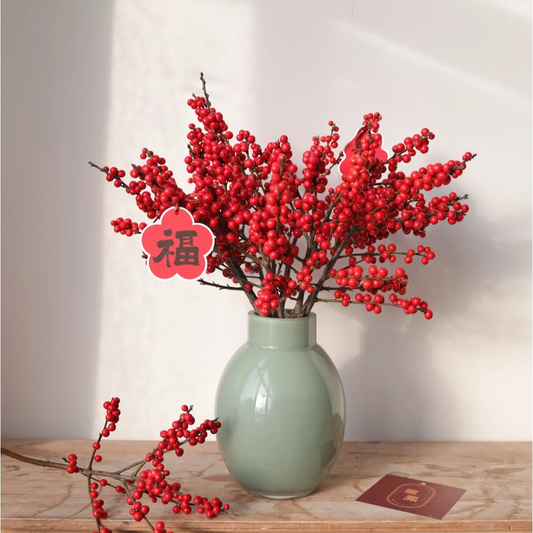 AAA级北美冬青30~40cm5支高品质冬青喜庆年宵花冬青顺丰快递