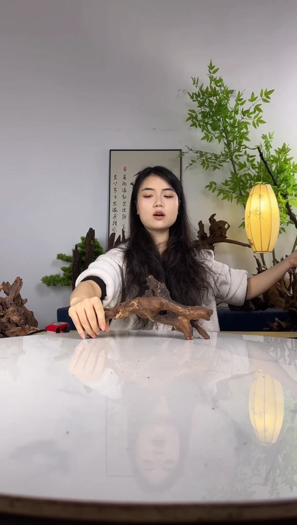 良**明拍这个定向编号54