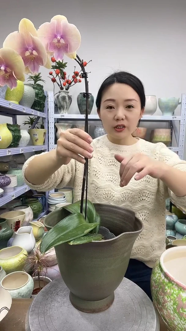 【12.9号】花盆链接 高： 22口：22