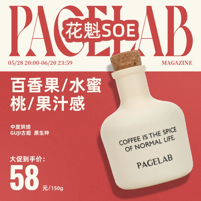 PAGE LAB佩植花魁埃塞精品新产季浅中烘焙SOE意式美式手冲咖啡豆