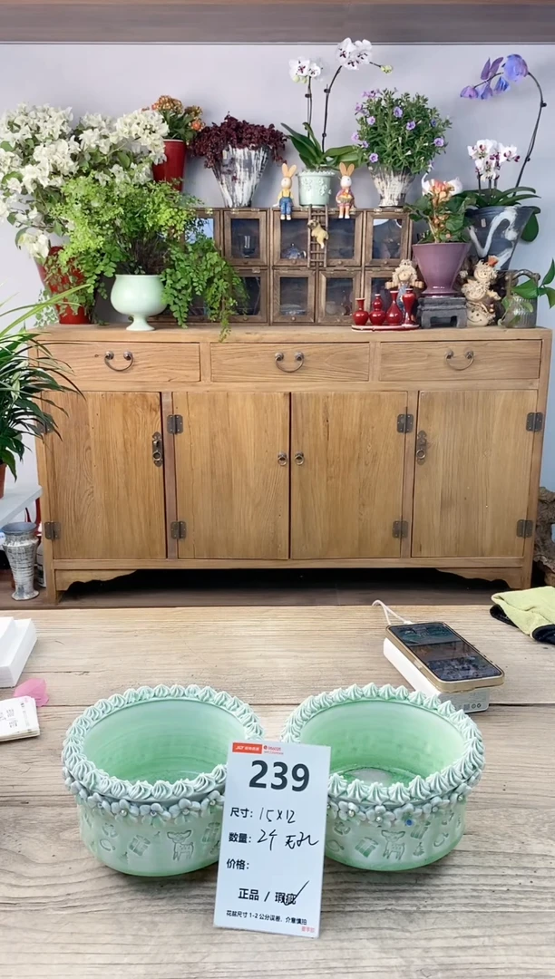 小玩子花盆直播编号239