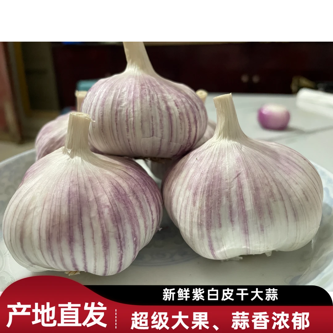 【超级大果】河南杞县紫白皮新干蒜可吃可种新鲜蔬菜1-5斤