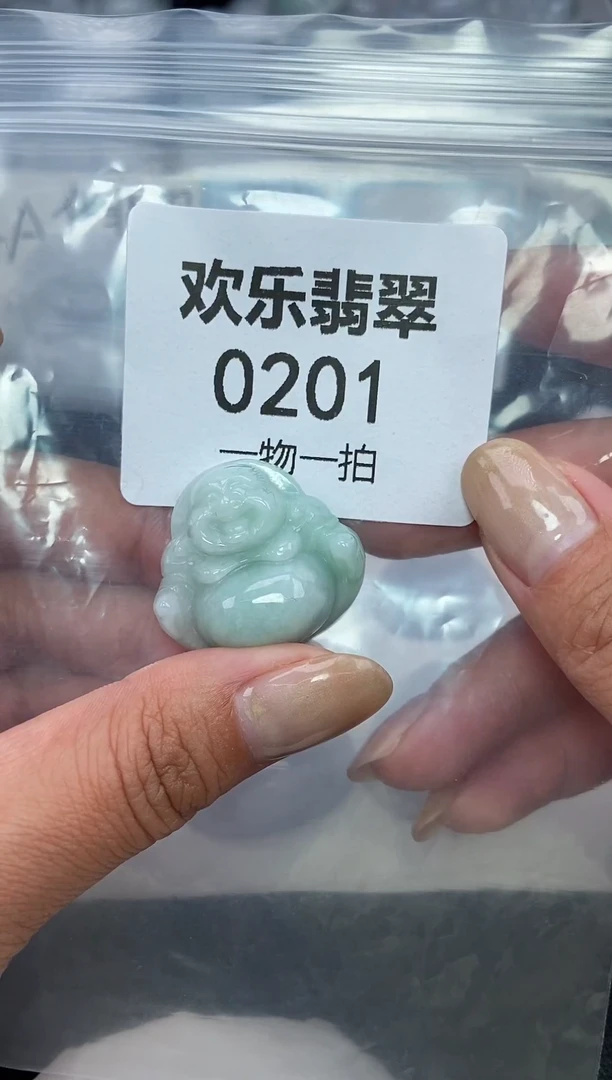 颈饰未镶嵌翡翠缅甸天然翡翠0201