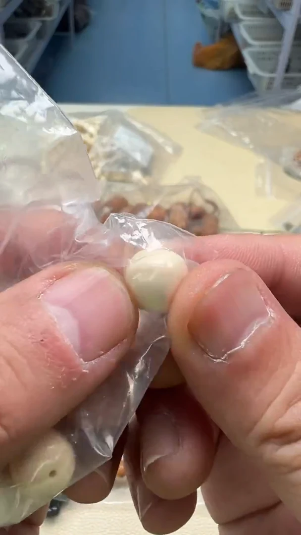 手串白玉菩提白色 (单颗)4405