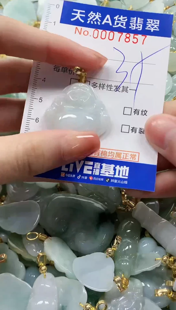 颈饰未镶嵌翡翠纯天然a货翡翠