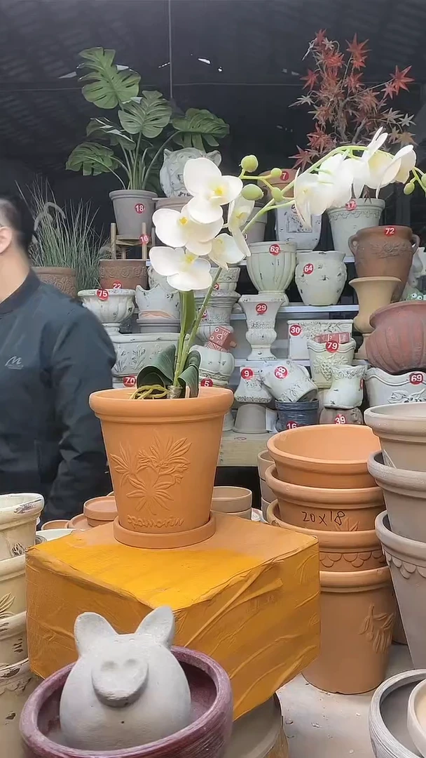 【闪购商品】缸1套16*15红陶香草陶送土托