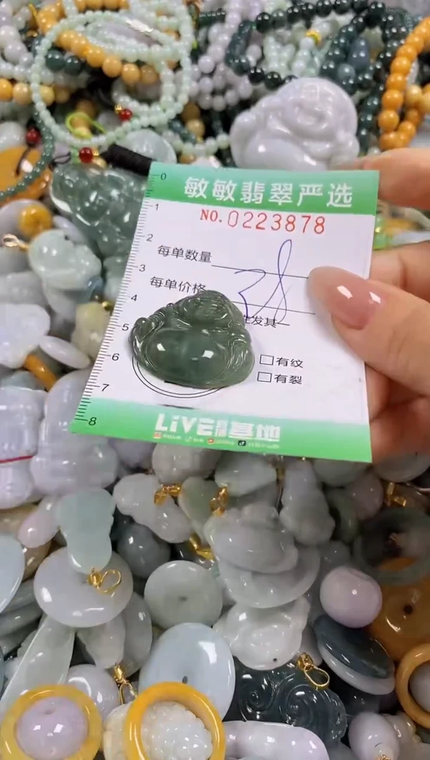 翡翠未镶嵌颈饰闪购0223878