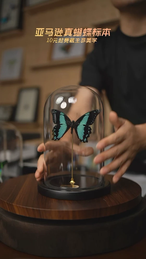 有机玻璃玉石德凤蝶玻璃罩