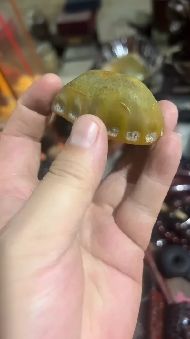 紫砂紫砂紫砂紫砂紫砂紫砂