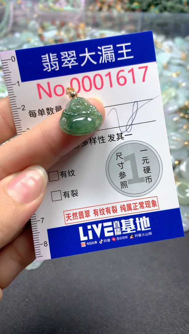 翡翠未镶嵌吊坠(不含链)1617