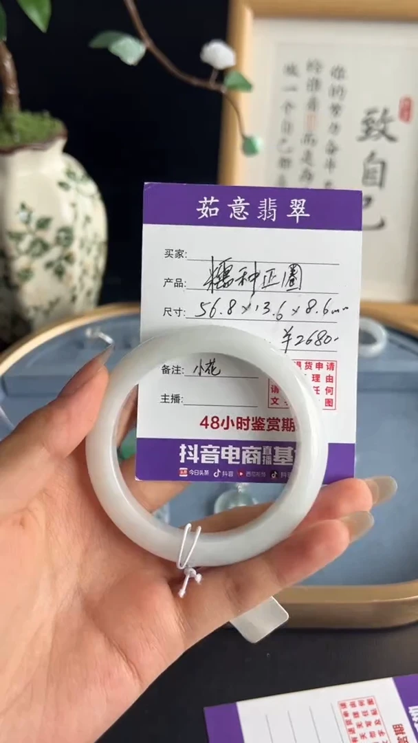 未镶嵌手镯翡翠茹意特推翡翠糯种正圈手镯