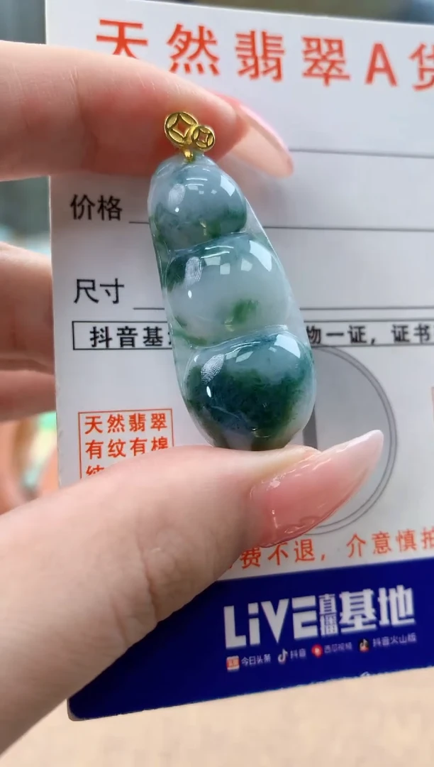颈饰未镶嵌翡翠天然A货翡翠挂件