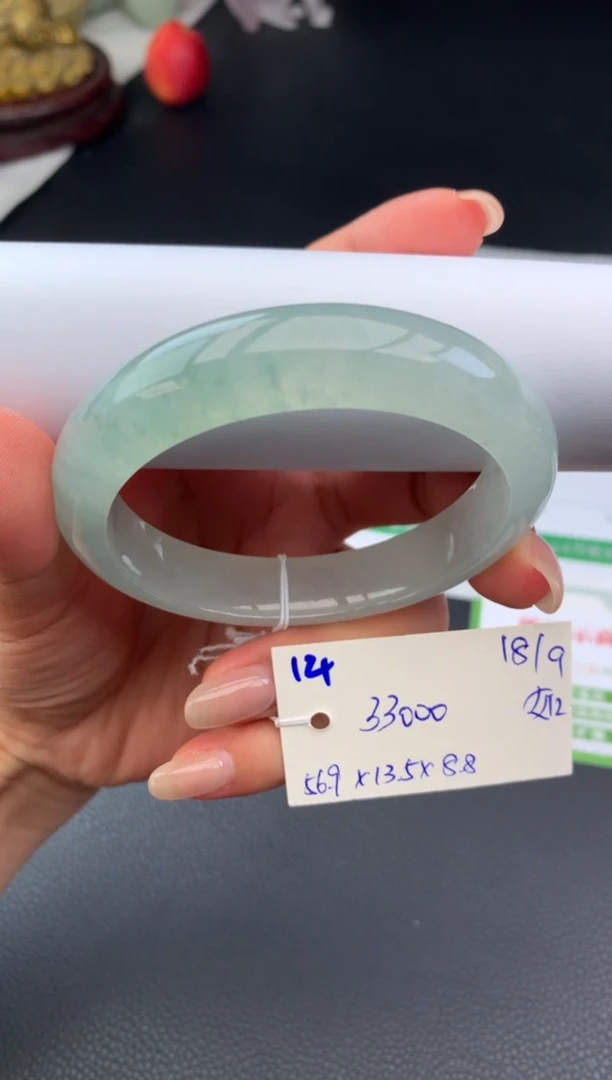 未镶嵌手镯翡翠ˋ****毅手镯