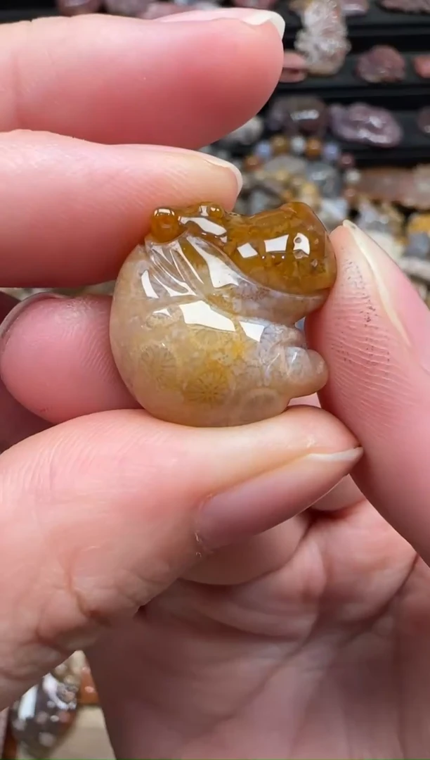 颈饰未镶嵌硅化珊瑚（珊瑚玉）124