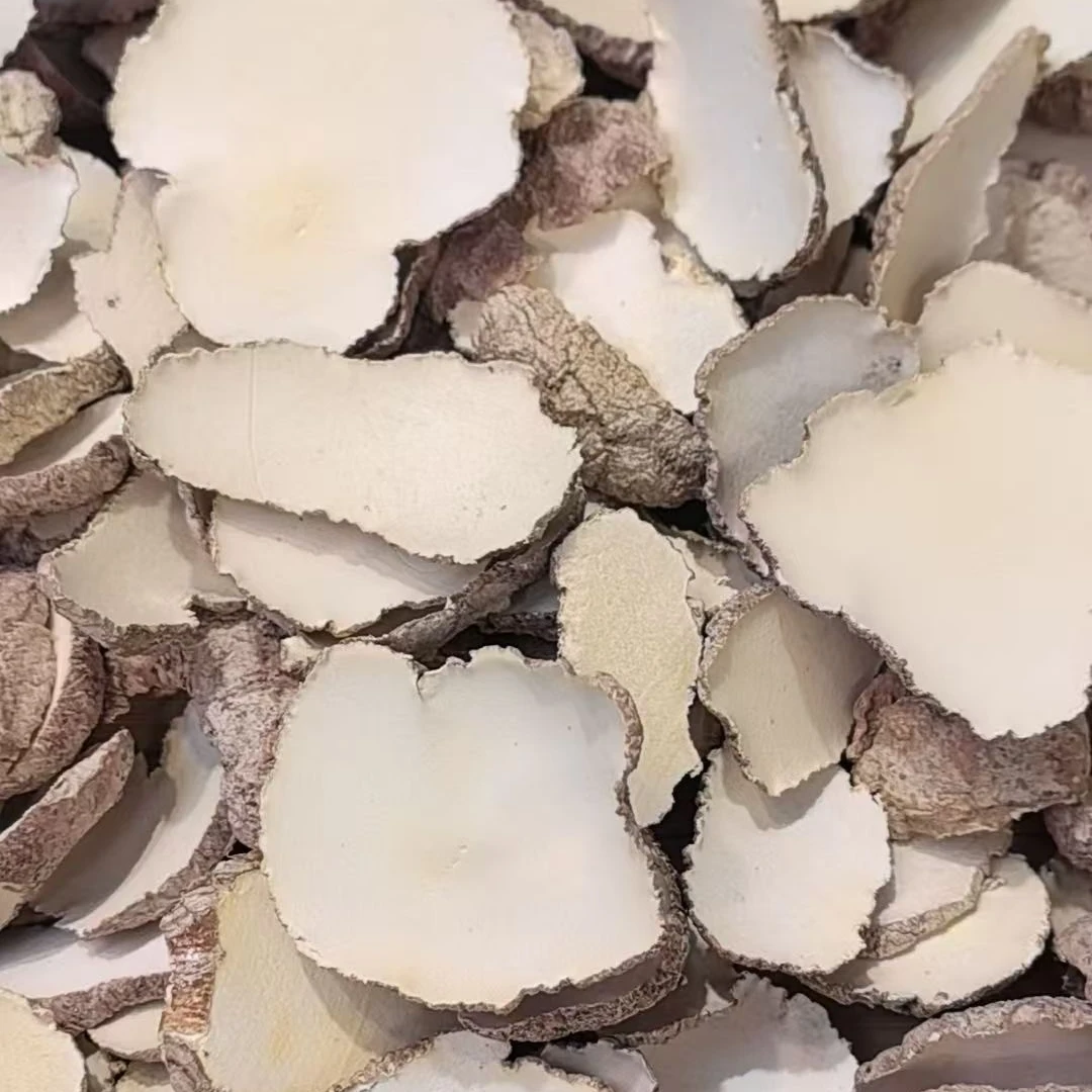 福康唐胶尚店 虎乳菌100g/250g/500g